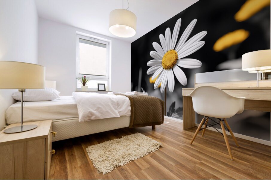 Light & Form – Black and White Daisy Print Impression murale