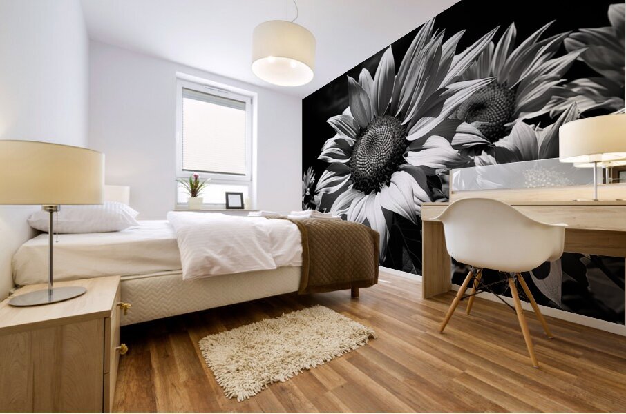 Golden Accent – Part-Color Sunflower Study Print Mural print