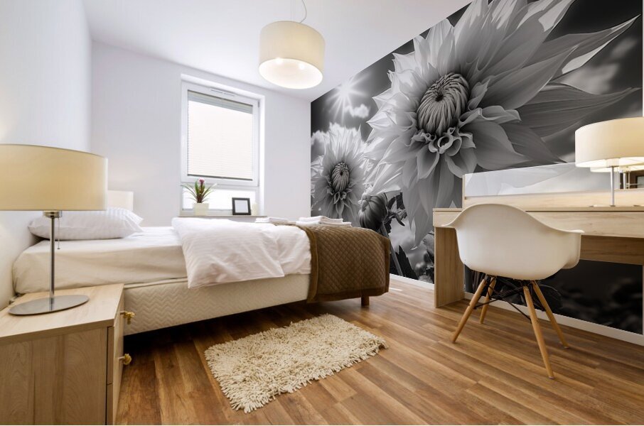 Silver Petals – Black & White Daisy Art Print Mural print