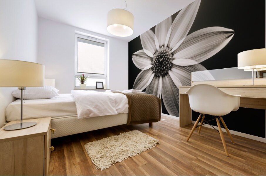 Sumptuous – Soft-Glow Daisy Monochrome Art Print Mural print