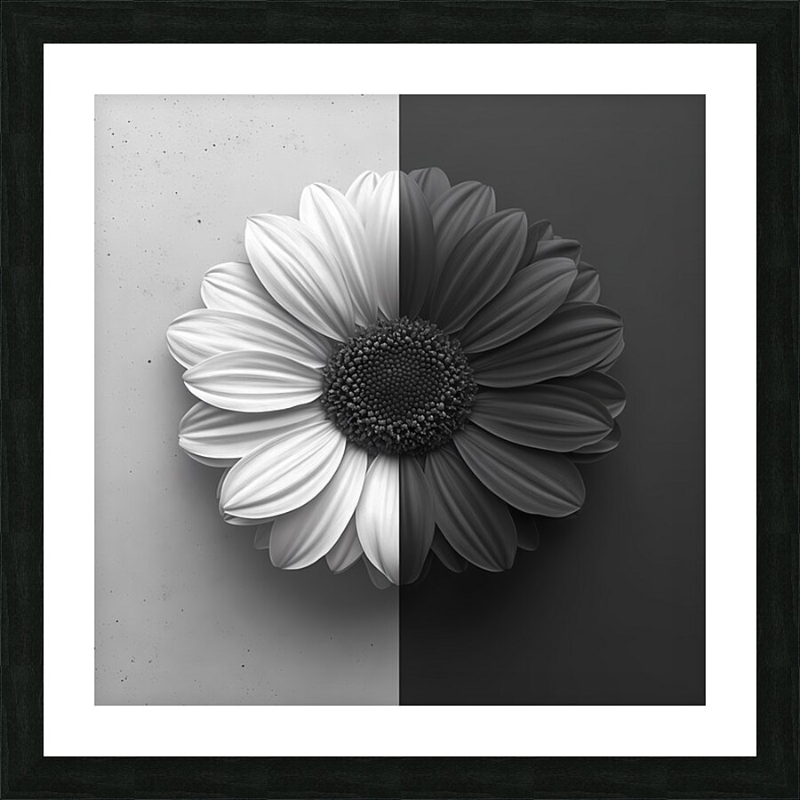 50 50 - Black & White Floral Art Prints Picture Frame print
