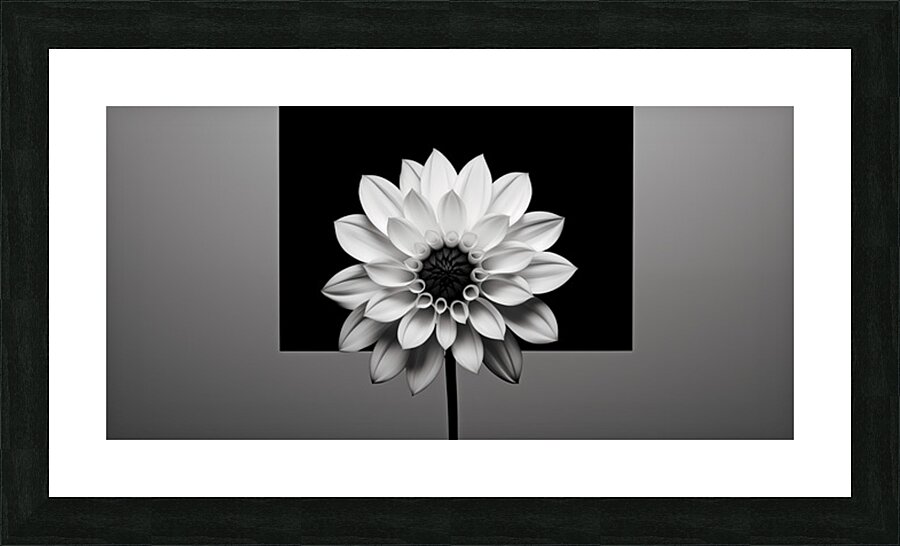 Solo - Minimal Floral Art Prints Impression et Cadre photo