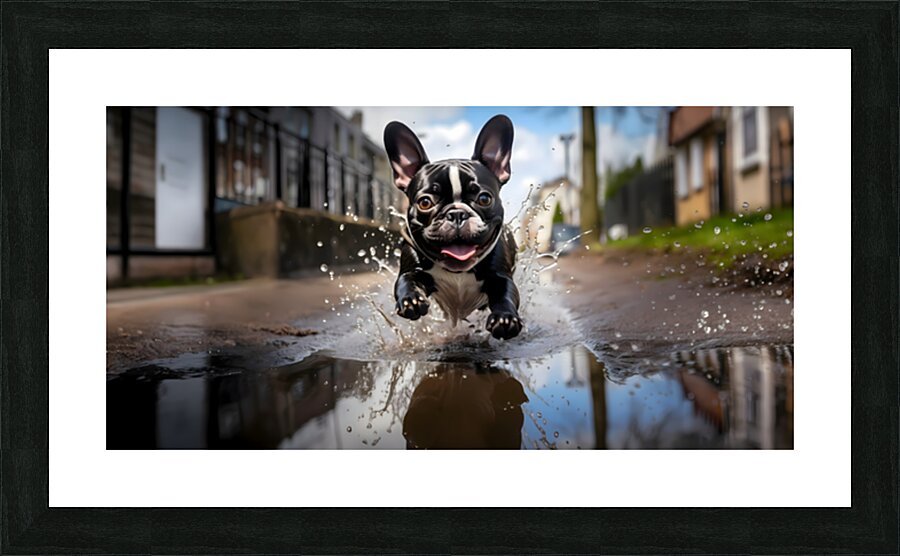 Joy Unleashed - French Bulldog Splash Art Prints Picture Frame print