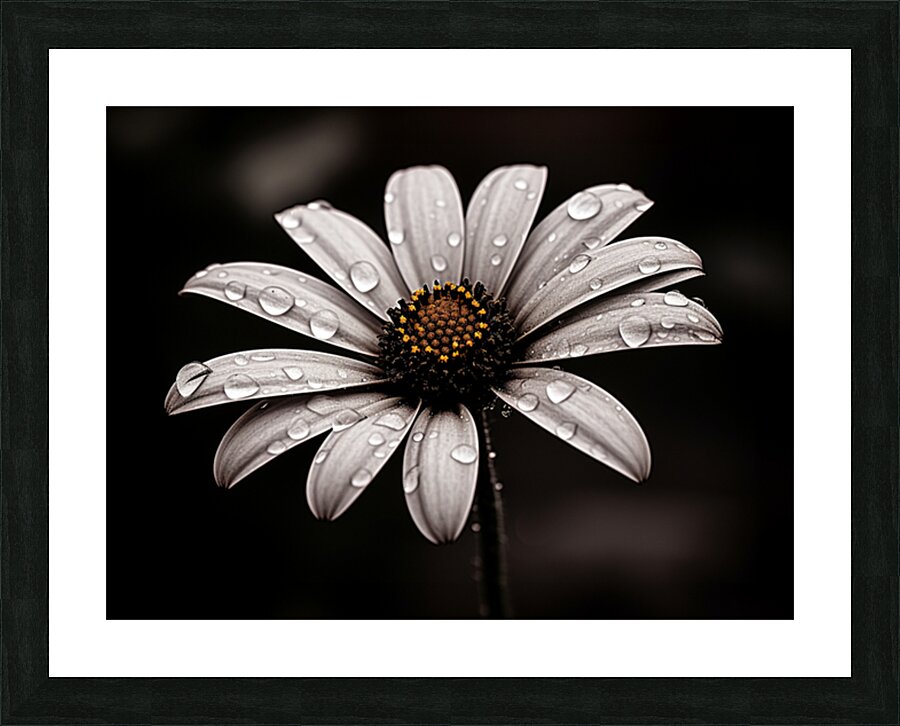 Petal Perspective 44 - Macro Floral Art Prints Impression et Cadre photo