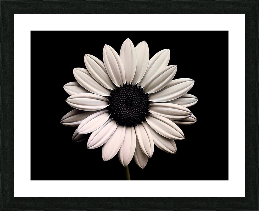 Petal Perspective 31 - Macro Floral Art Prints Picture Frame print