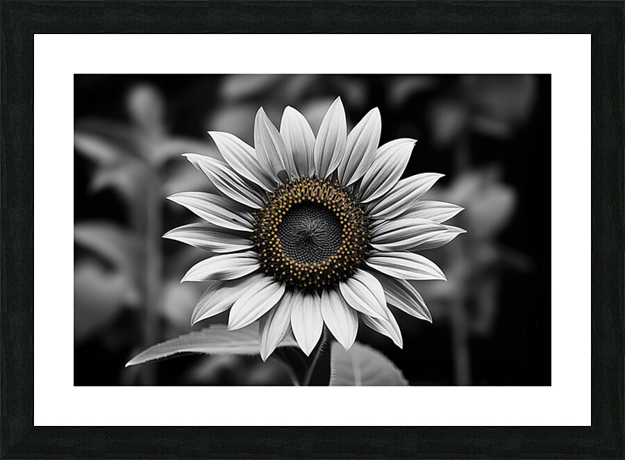 Petal Perspective 5 - Macro Floral Art Prints Picture Frame print
