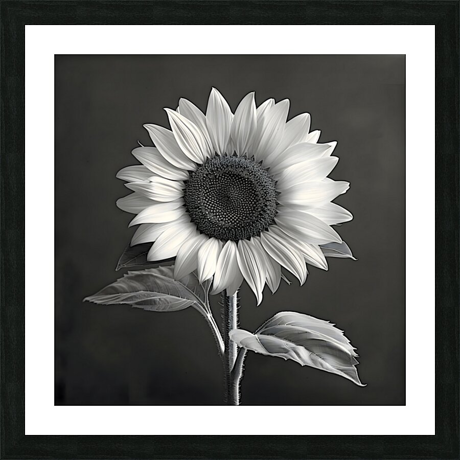 Sunflower Selfie 4 - Sunflower Portrait Art Prints Picture Frame print