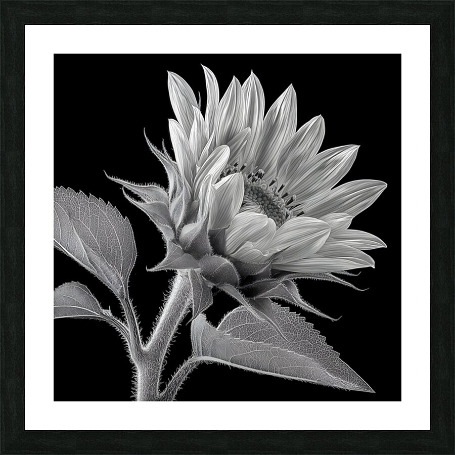 Sunflower Selfie 8 - Sunflower Portrait Art Prints Picture Frame print