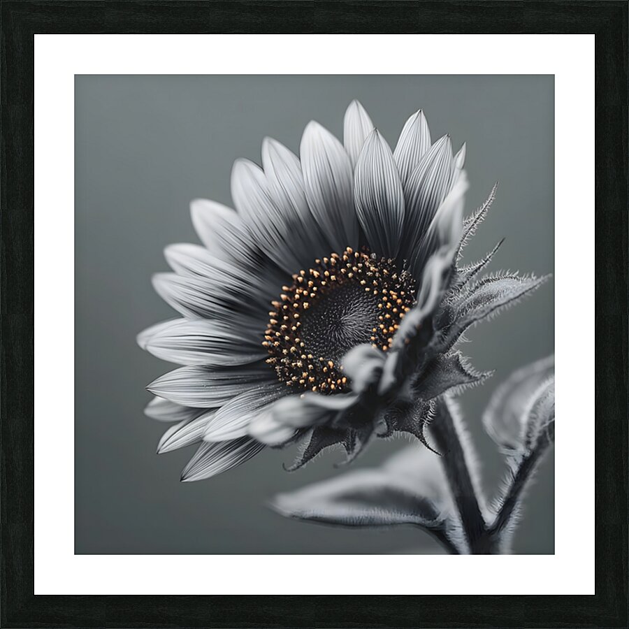 Sunflower Selfie 9 - Sunflower Portrait Art Prints Picture Frame print