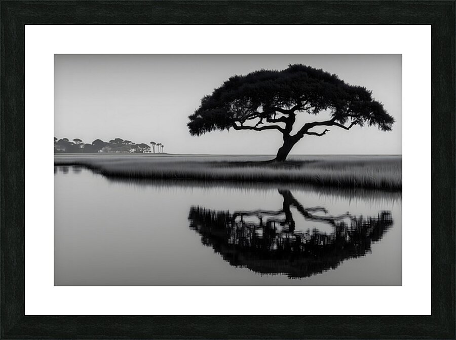 Solitude - Monochrome Landscape Art Prints Picture Frame print