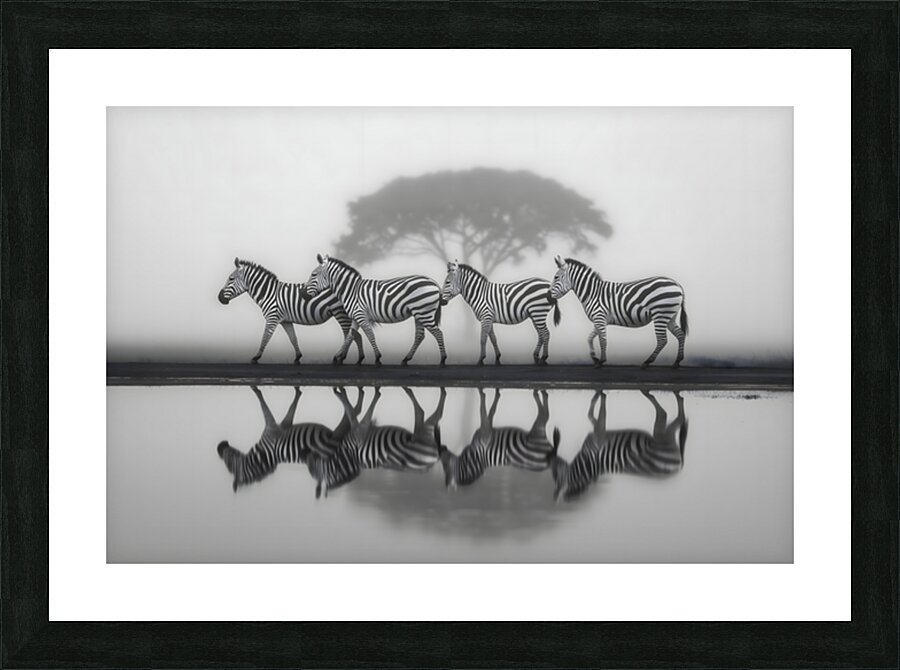 Led Beside Still Waters - Monochrome Landscape Art Prints Picture Frame print