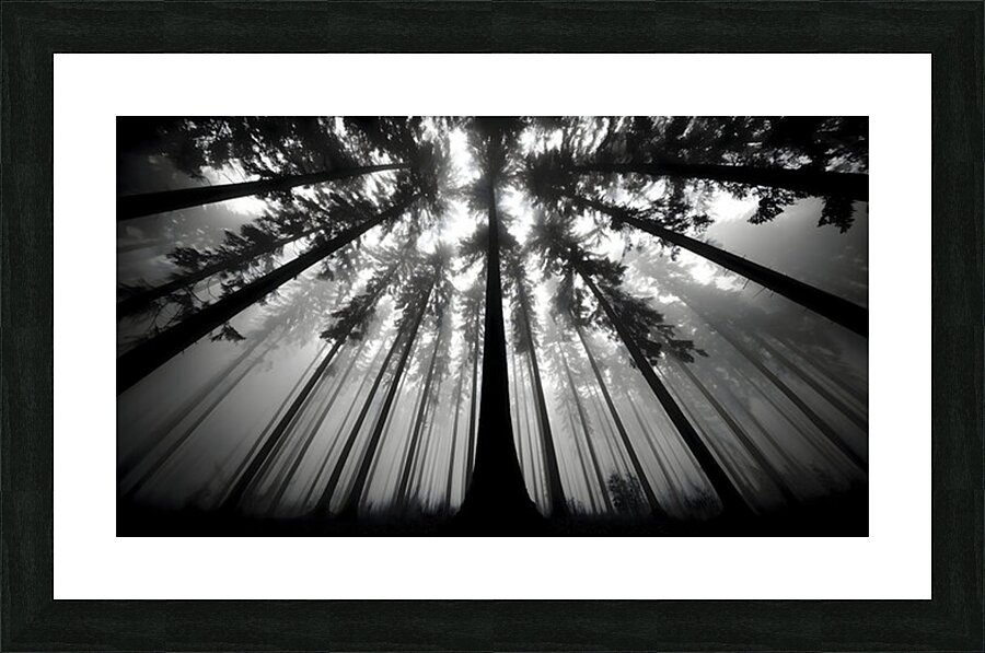 The Vertical Silence – Black & White Landscape Art Print Picture Frame print