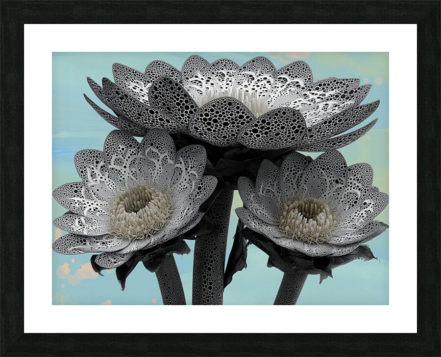 Lace Petal Trio – Modern Lotus Bloom Art Print Picture Frame print