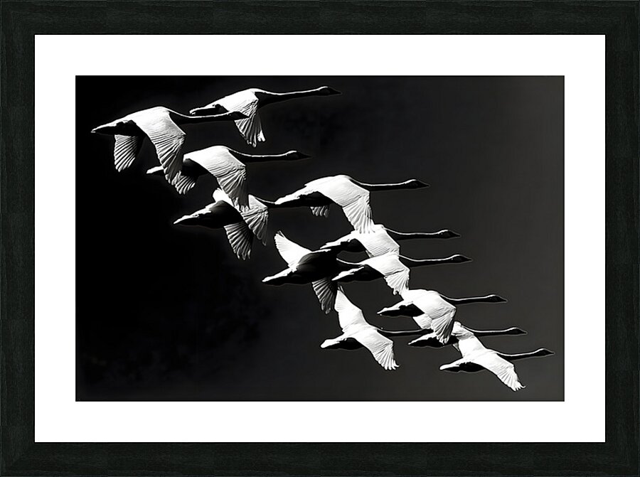 Flight Code – Geese Formation Print Picture Frame print