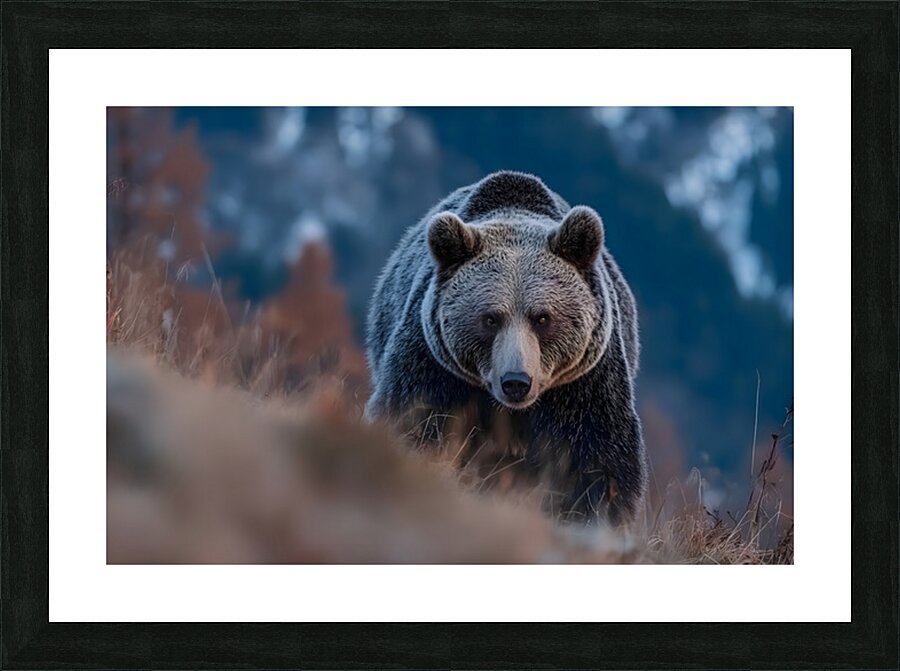 Alpine Titan – Grizzly Bear Print Picture Frame print