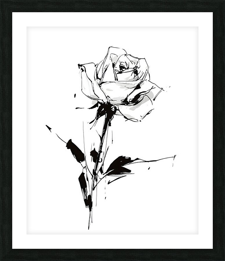 Sketch Rose – Minimalist Botanical Print Picture Frame print