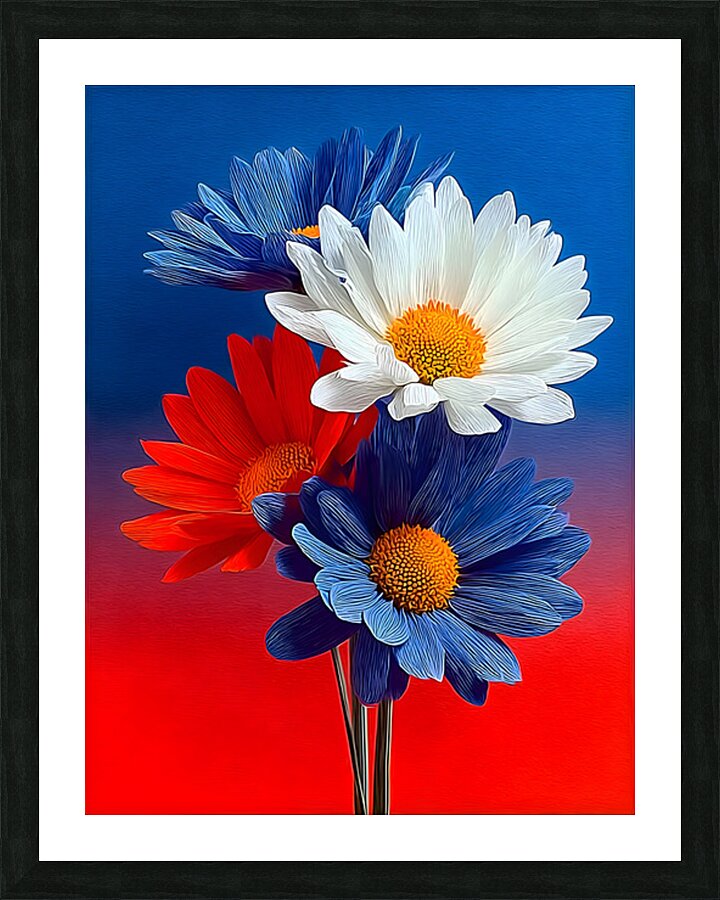 Patriotic Daisies – Red White Blue Floral Print Picture Frame print