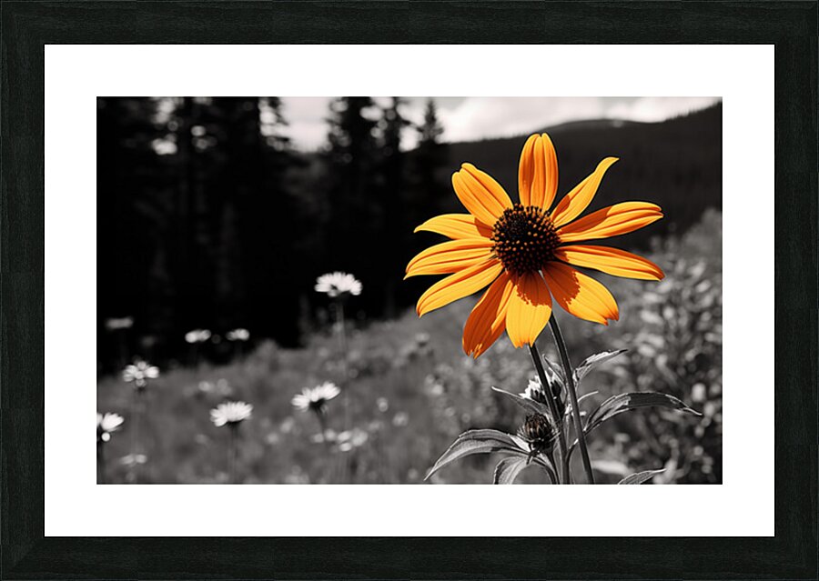 Wild Solitude – Orange Flower in Mountain Meadow Print Picture Frame print