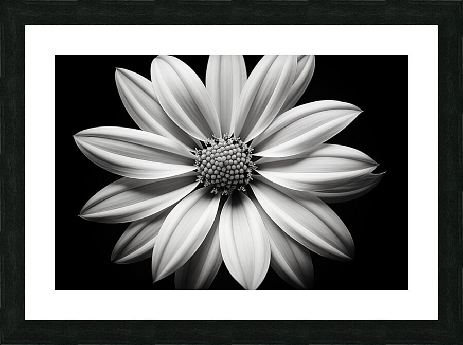 Echo in Silence – Monochrome Bloom Print Impression et Cadre photo