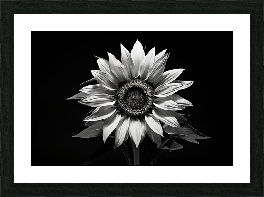 Stillness in Bloom – Monochrome Flower Reflection Print Picture Frame print