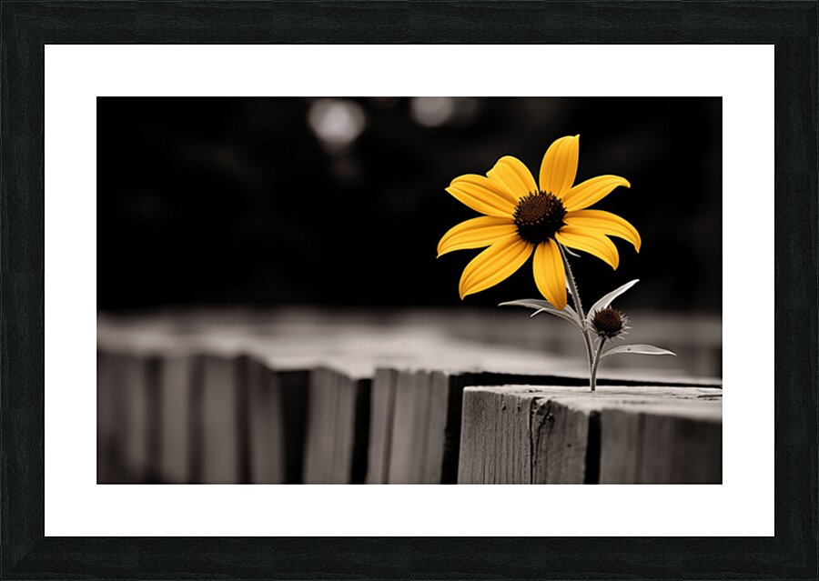 Defiant Bloom – Yellow Flower on Fence Print Picture Frame print
