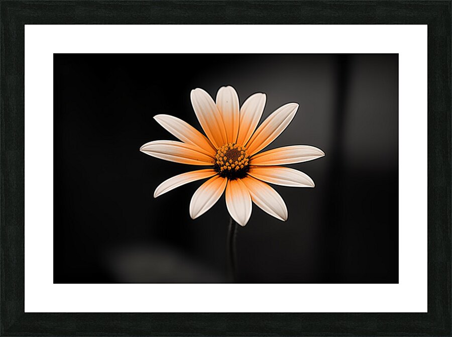 Amber Echo – Warm Toned Floral Minimalist Print Picture Frame print