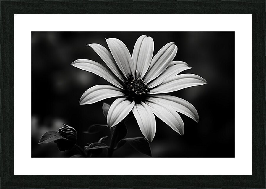 Twilight Petals – Black and White Floral Portrait Picture Frame print