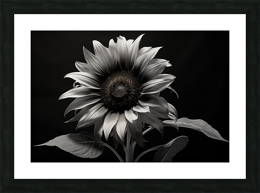Obsidian Petals – Dark Botanical Fine Art Print Picture Frame print