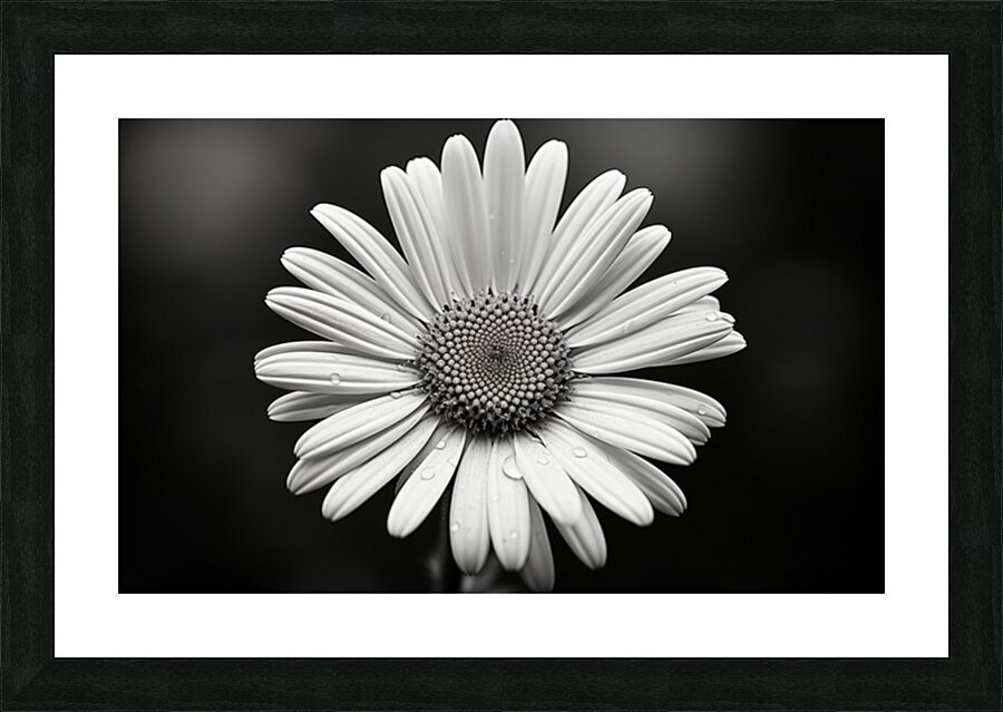 Petals of Memory – Vintage Daisy Landscape Print Picture Frame print