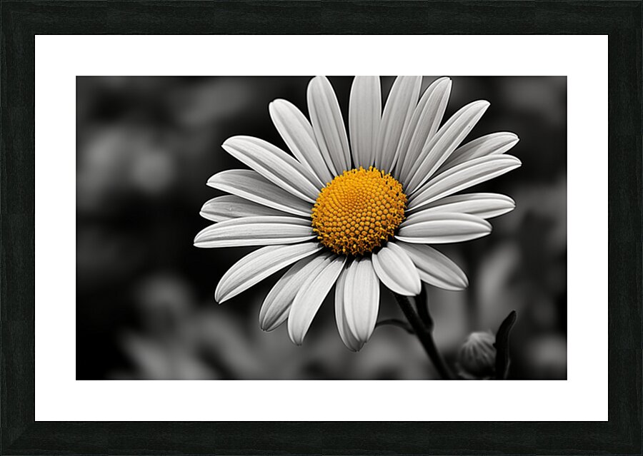 Amber Whisper – Yellow Petal Accent Print Picture Frame print