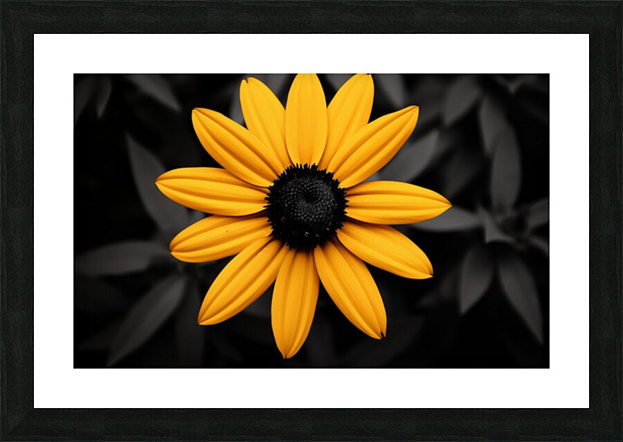 Lone Glow – Yellow Sunflower on Black Print Impression et Cadre photo