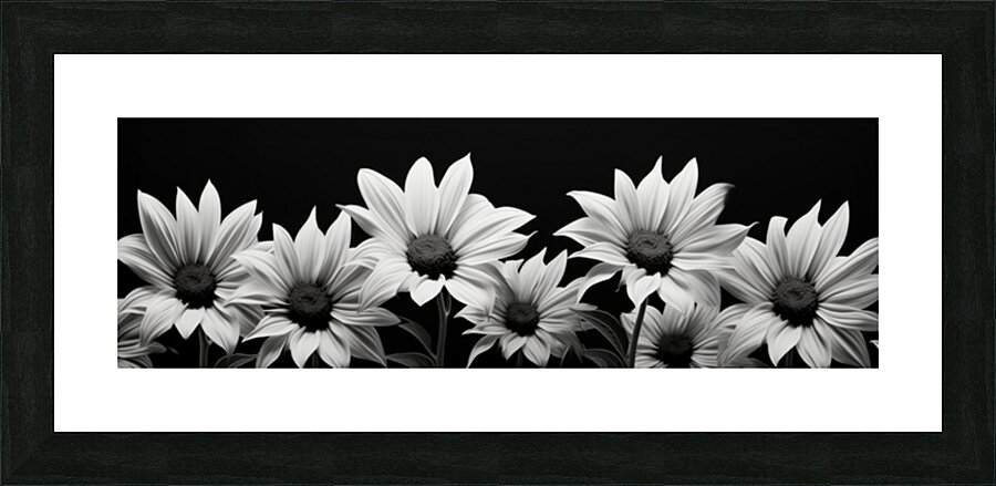 Eternal Bloom – Monochrome Sunflower Field Print Picture Frame print