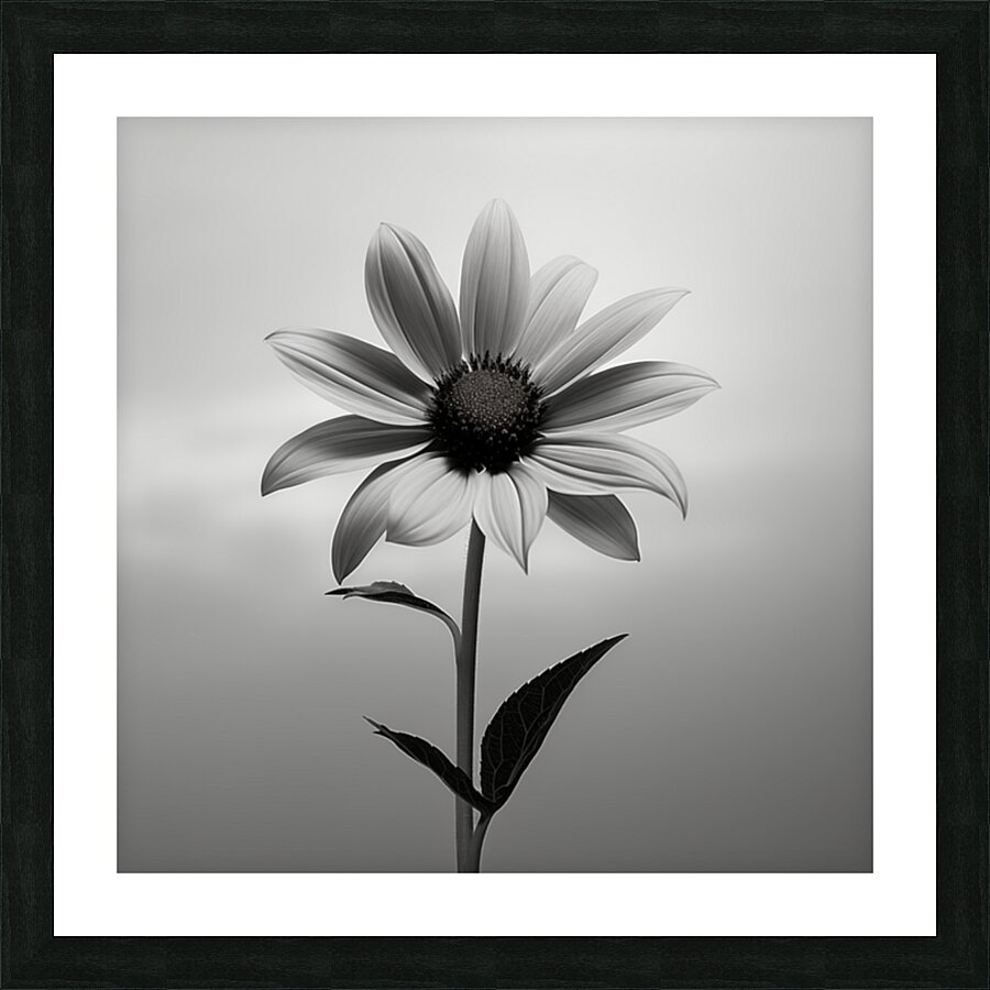 Solitary Grace – Monochrome Sunflower Portrait Print Picture Frame print
