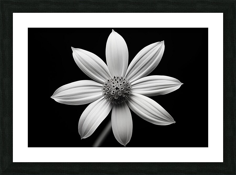 Obsidian Bloom II – Minimal Floral Print Picture Frame print