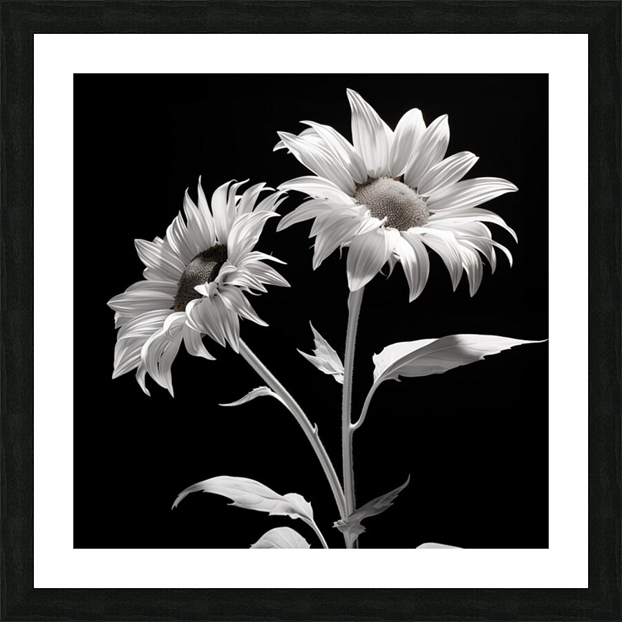 Ineffable – Black & White Twin Sunflower Art Print Picture Frame print
