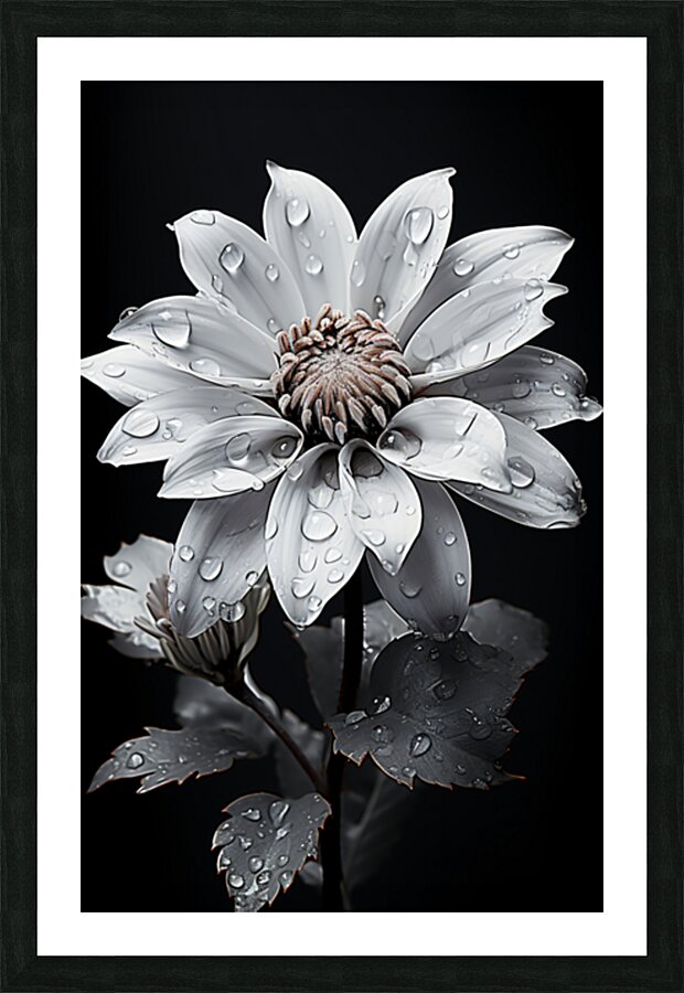 Petal Portrait – Reflective Floral Art Print Picture Frame print