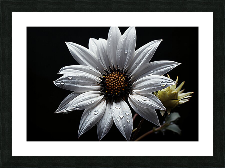 Majestic Macro – Monochrome Sunflower Close-Up Art Print Picture Frame print