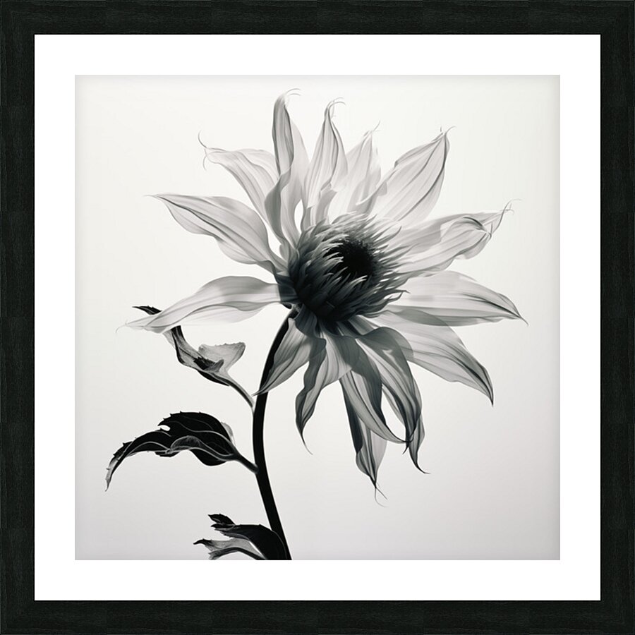 SFWarp – Abstract Floral Art Print Picture Frame print