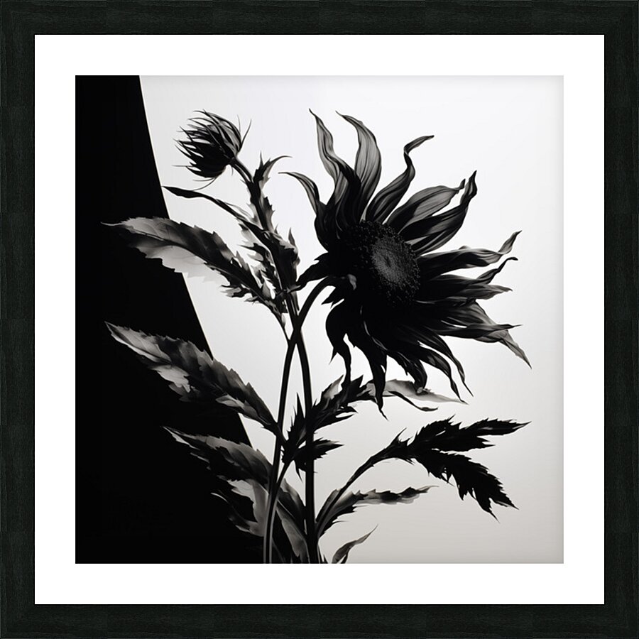 Black and White – Minimal Botanical Art Print Picture Frame print