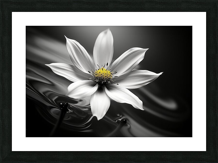 Eclipsed in Bloom – Monochrome Floral Art Print Picture Frame print