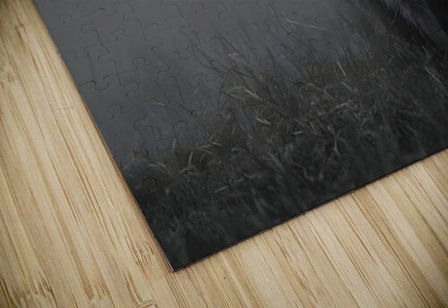 Mistwatcher - Raccoon Print Savage Art Prints puzzle