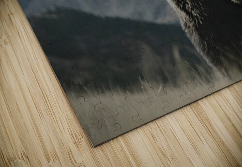 Summit Guardian – Kodiak Bear Print Savage Art Prints puzzle