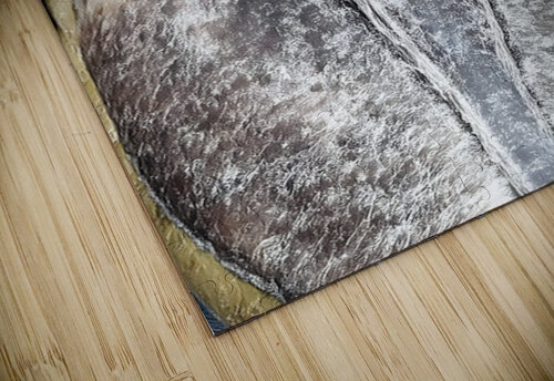 Prehistoric Stare – Present Day Shoebill Print Savage Art Prints puzzle