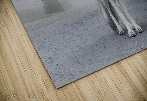 Emberlight – Fennec Fox Print Savage Art Prints puzzle