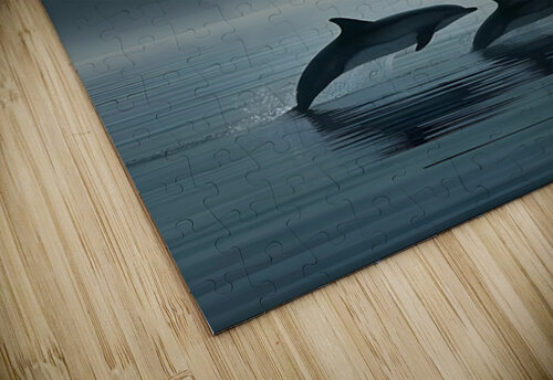 Misty Dolphins – Serene Ocean Leap Print Savage Art Prints puzzle