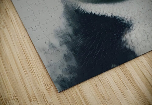 Curious Penguin – Black and White Penguin Portrait Savage Art Prints puzzle