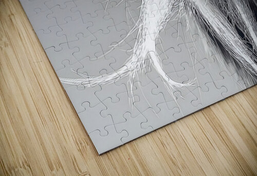 Emperor’s Gaze – Emperor Tamarin Monkey Portrait Print Savage Art Prints puzzle