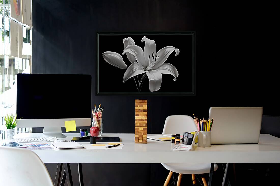 Lily Of The Light - Monochrome Lily Floral Art Prints Reproduction