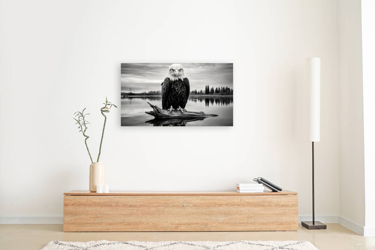 Looking Through You - Reflective Minimalist Landscape Art Prints Reproduction