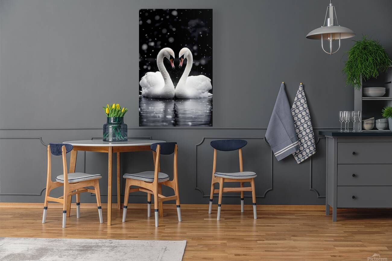 True Love - Swan Romance Art Prints Reproduction